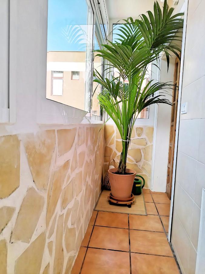 プエルト・デ・ラ・クルスApartamento Vida Mediterraneaアパートメント エクステリア 写真